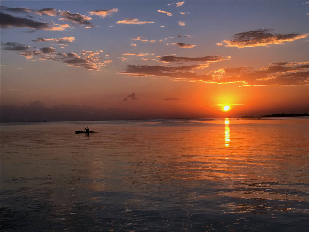 May 2019 Conchshell Chronicles