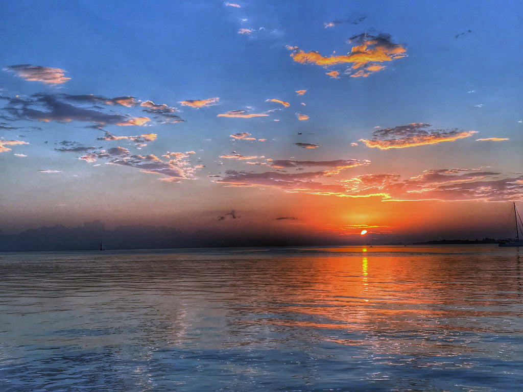 December 2018 Conchshell Chronicles