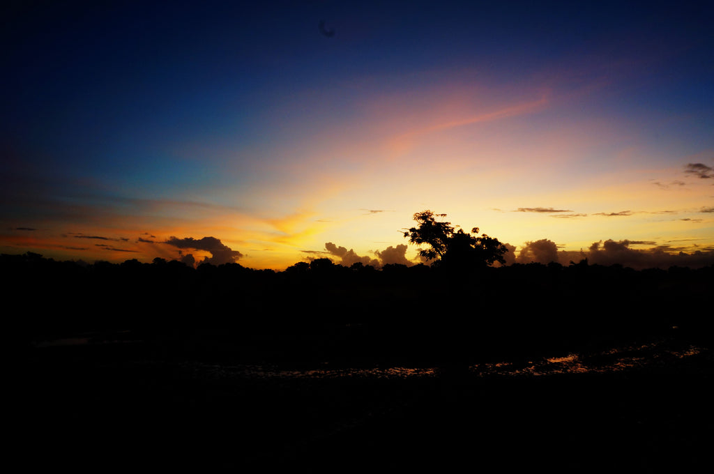 September 2021 Conchshell Chronicles