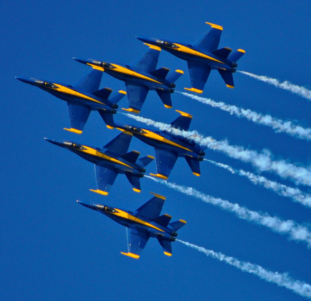 April 2017 Conchshell Chronicles