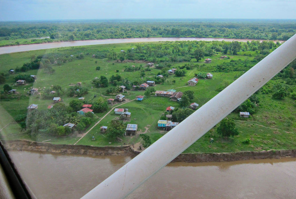 February 2019 Conchshell Chronicles