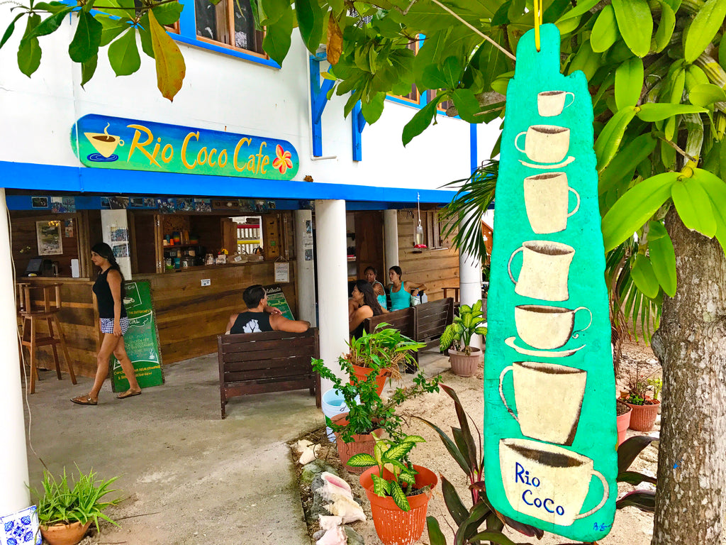 August 2018 Conchshell Chronicles