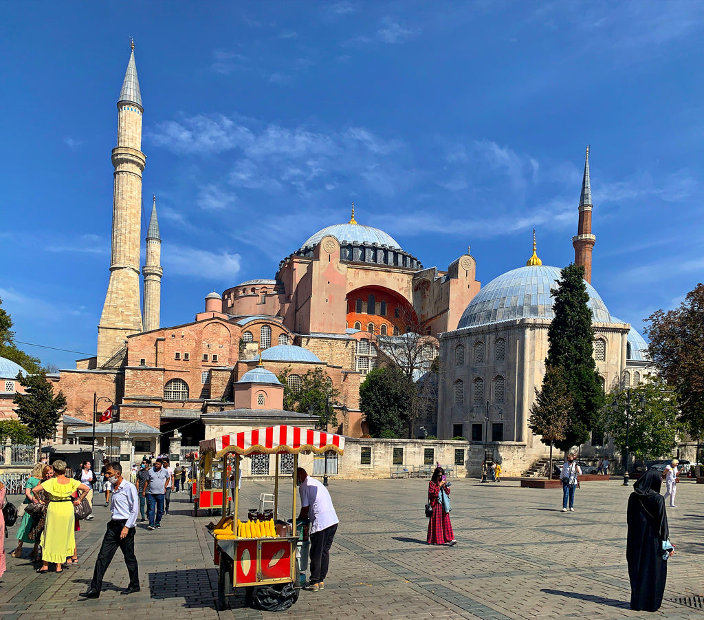 October 2021 Conchshell Chronicles