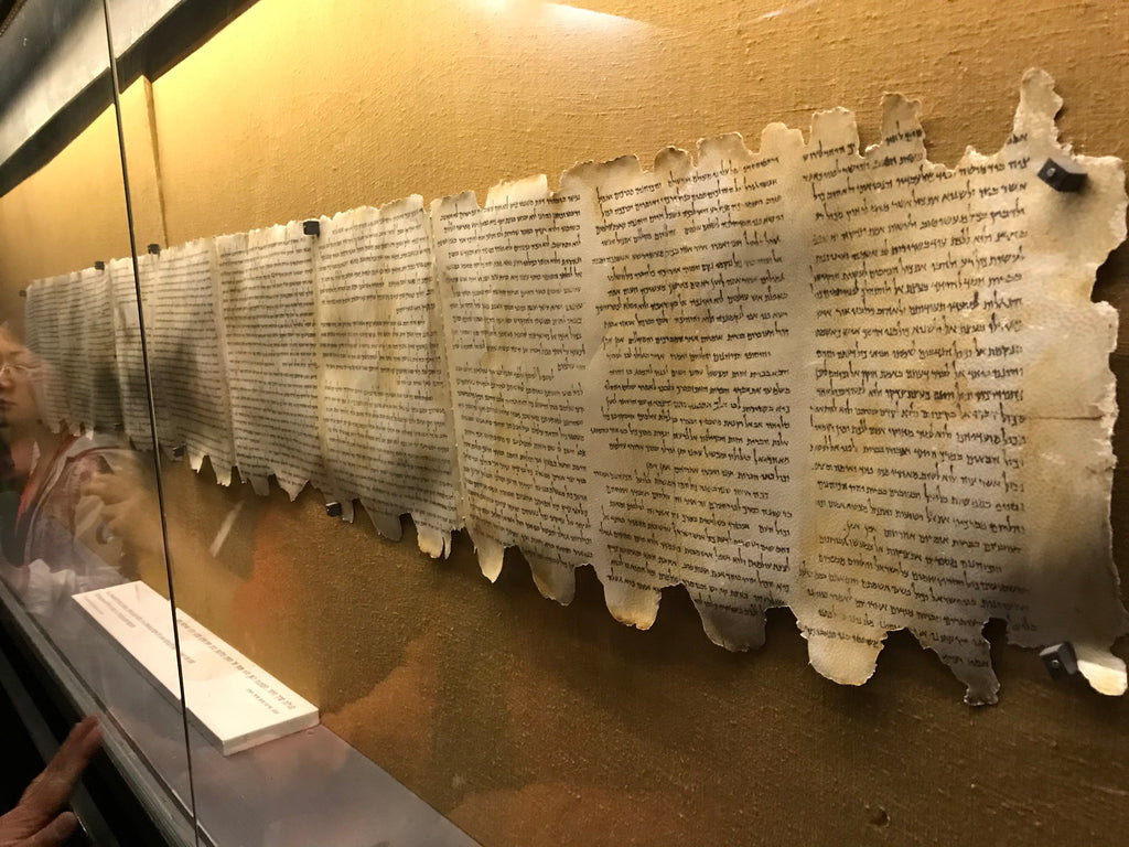 LSW The Living Book Graphics