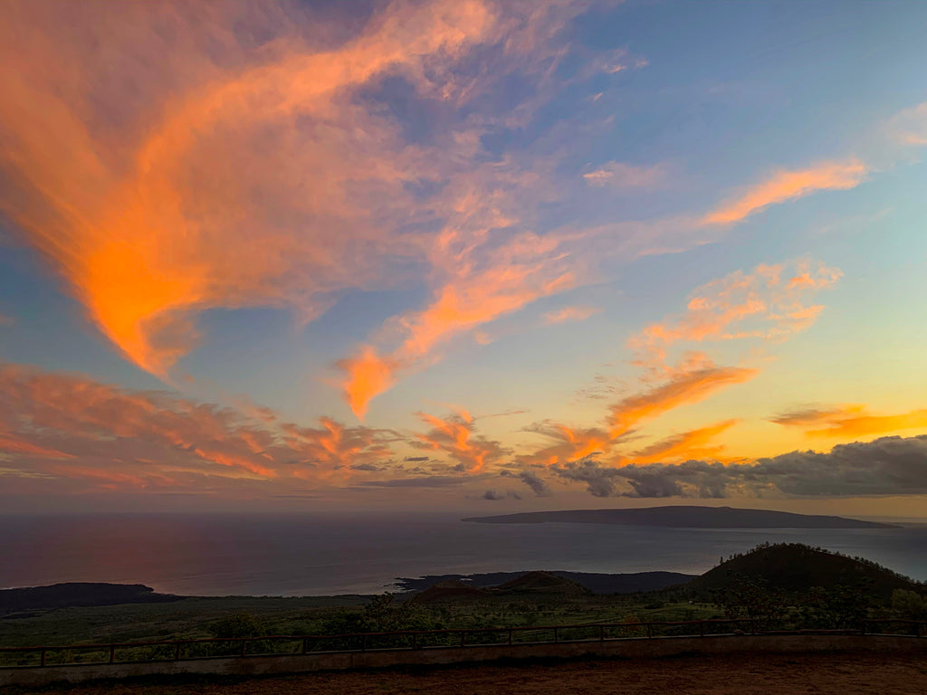 May 2020 Conchshell Chronicles