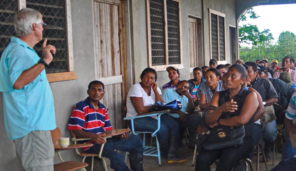 November 2017 Conchshell Chronicles