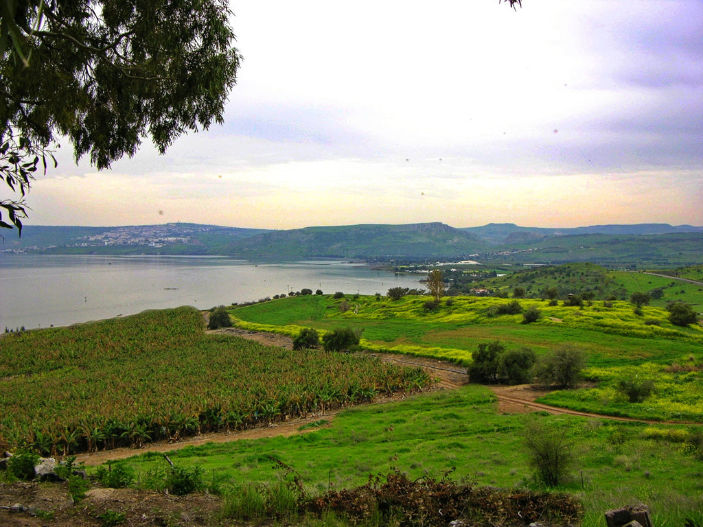 Mount of Beatitudes - Jesus Most Famous Teaching