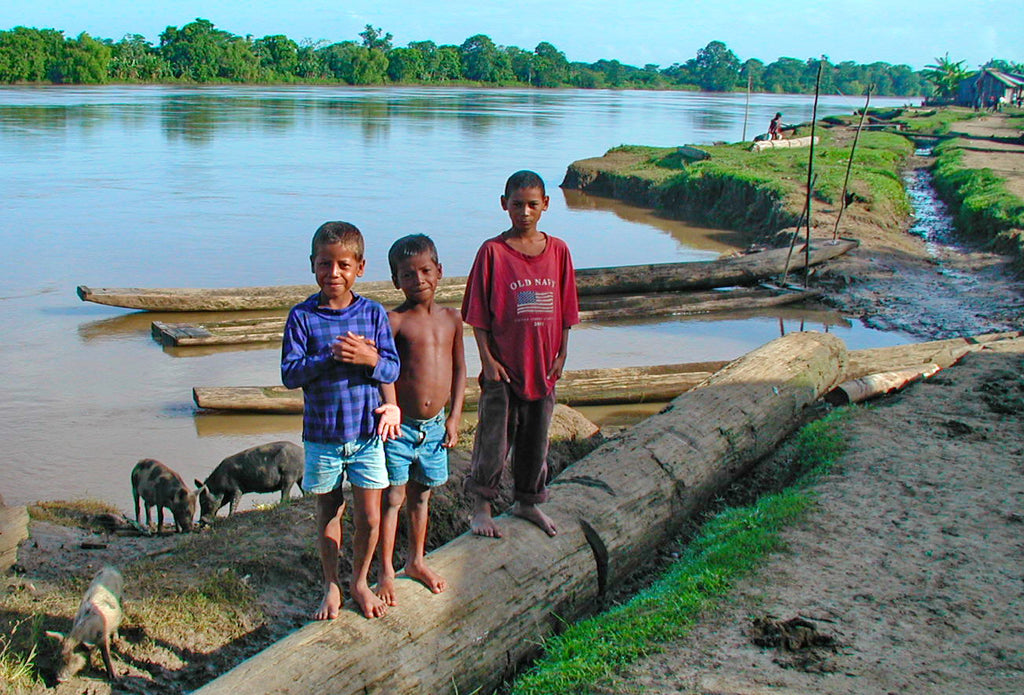 October 2018 Conchshell Chronicles