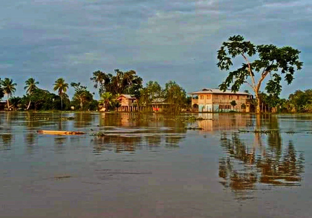 November 2020 Conchshell Chronicles