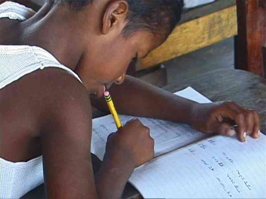 January 2019 Conchshell Chronicles