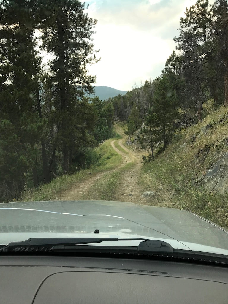 Evelyn and Jude run loose in Glacier National Park