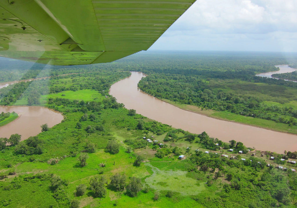 April 2019 Conchshell Chronicles
