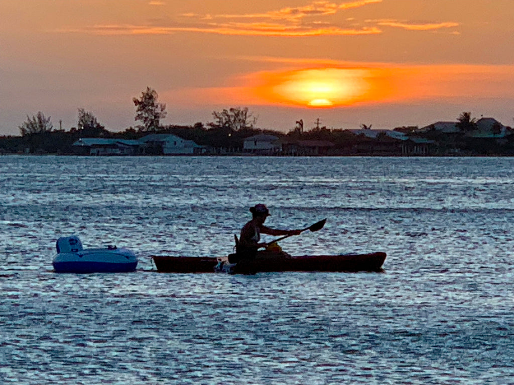 July 2019 Conchshell Chronicles