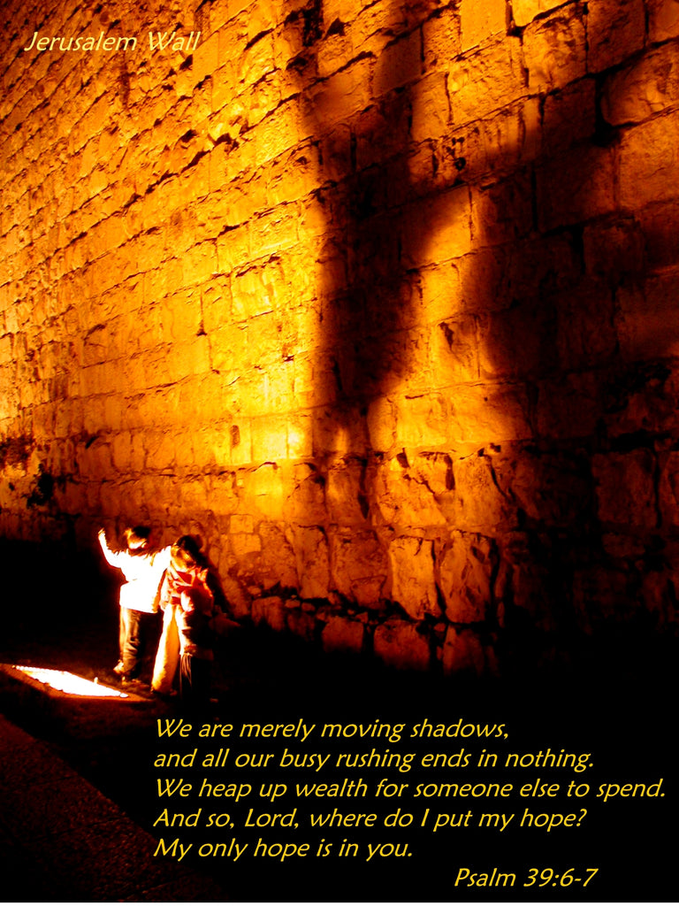 March 2019 Conchshell Chronicles