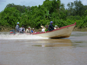 Fiberglass Boat